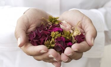 Photo of hands holding herbal tea