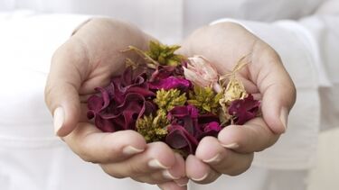 Photo of hands holding herbal tea