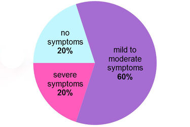 Pie chart showing % of women with menopause symptoms